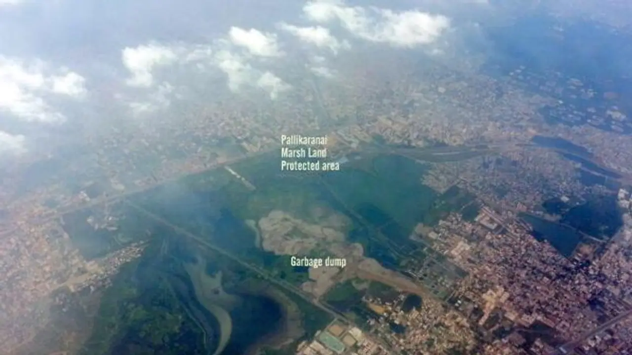 தூர்வாரி ஆழப்படுத்த பள்ளிக்கரனை சதுப்பு நிலமொன்றும் கார்ப்பரேஷன் தண்ணீர்த் தொட்டியல்ல.! முதல்வருக்கு கோரிக்கை தூர்வாரி ஆழப்படுத்த பள்ளிக்கரனை சதுப்பு நிலமொன்றும் கார்ப்பரேஷன் தண்ணீர்த் தொட்டியல்ல.! முதல்வருக்கு கோரிக்கை