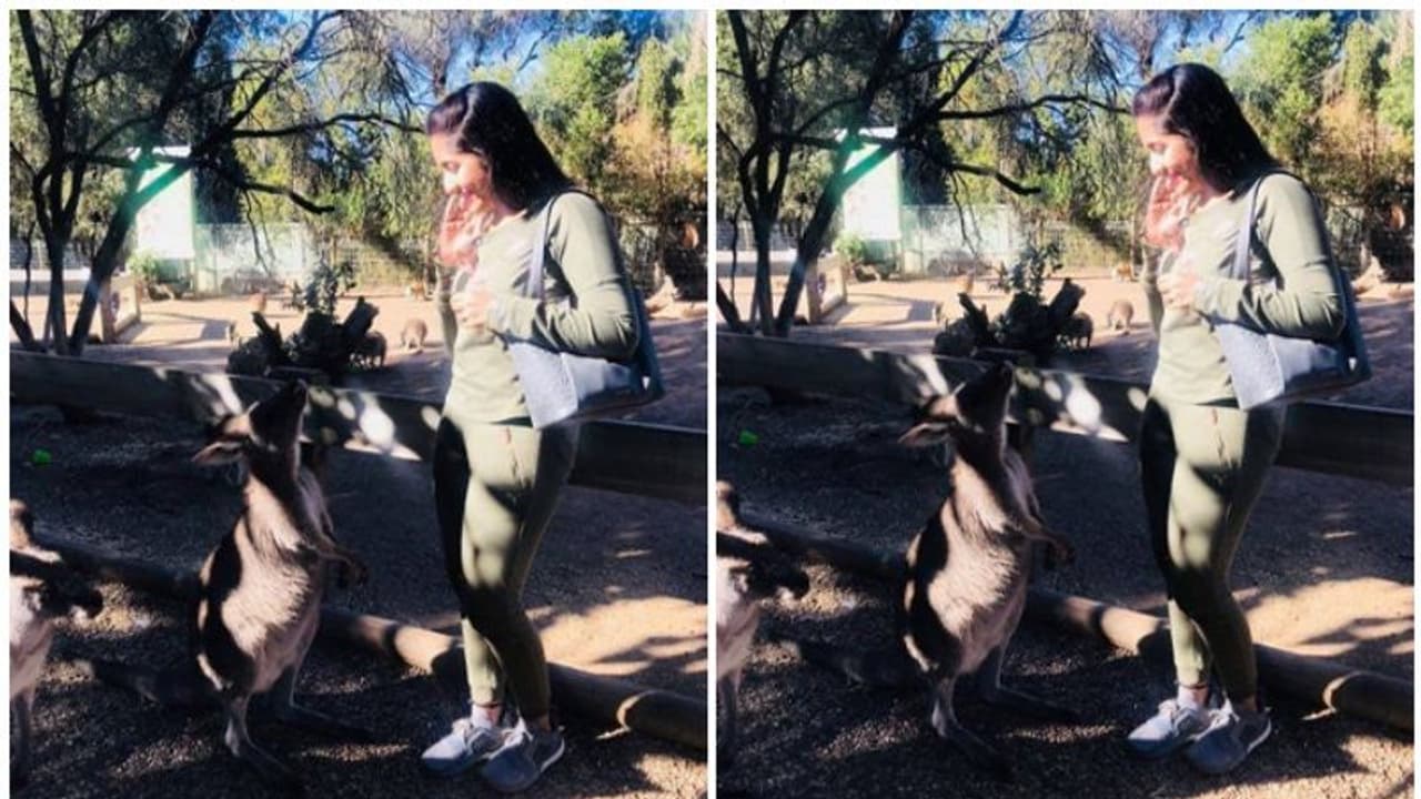 'എവിടെയായിരുന്നു ഇത്രയും കാലം?', കംഗാരുവിനൊപ്പമുള്ള ഫോട്ടോയുമായി നവ്യാ നായര് 'എവിടെയായിരുന്നു ഇത്രയും കാലം?', കംഗാരുവിനൊപ്പമുള്ള ഫോട്ടോയുമായി നവ്യാ നായര്