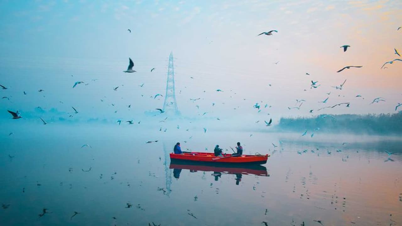 సోమశిల నుండి సిద్దేశ్వరానికి:కృష్ణా నదిలో పశువుల అక్రమ రవాణా సోమశిల నుండి సిద్దేశ్వరానికి:కృష్ణా నదిలో పశువుల అక్రమ రవాణా