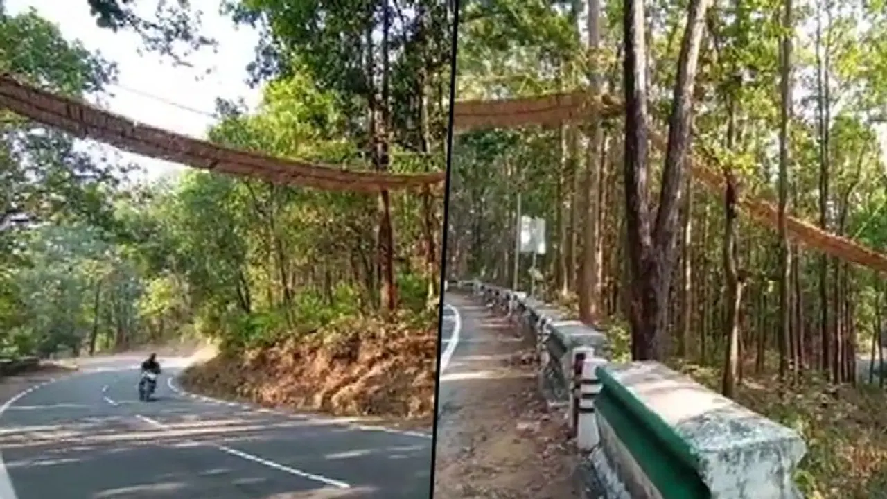 Exclusively for animals: Uttarakhand builds eco bridge across Nainital highway