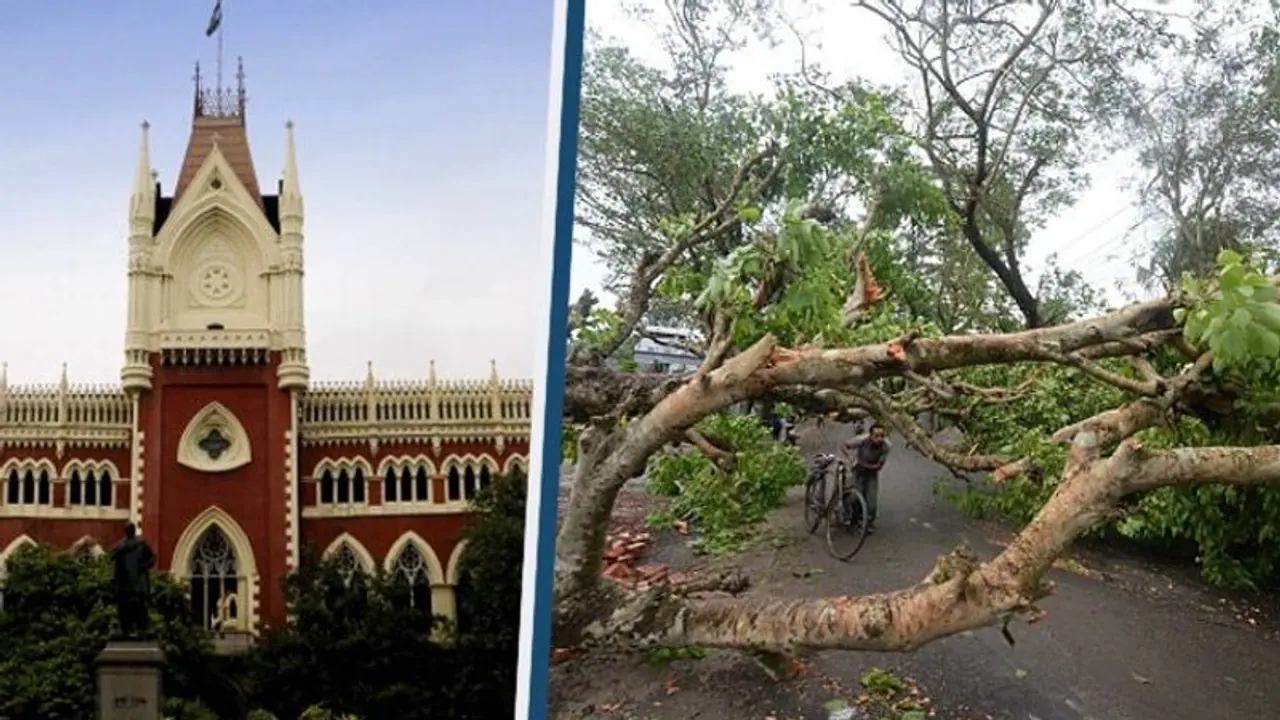 আমপান দুর্নীতি মামলায় চাপে রাজ্য, অডিটের দায়িত্ব কেন্দ্রীয় সংস্থা CAG কে দিল হাইকোর্ট