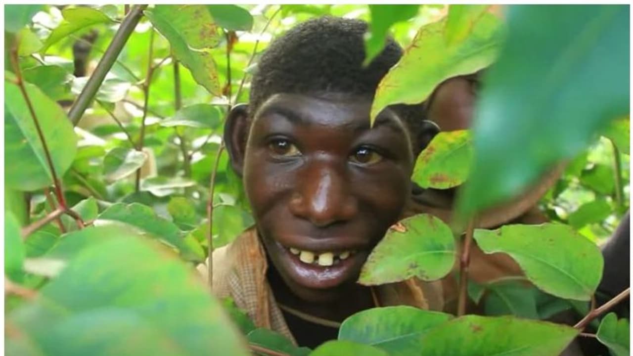 നാട്ടുകാർ അവനെ കുരങ്ങനെന്ന് വിളിച്ച് പരിഹസിക്കുന്നു, ഉപദ്രവിക്കുന്നു, ഒടുവിൽ രക്ഷപ്പെടാൻ അവൻ കാട് കയറുന്നു