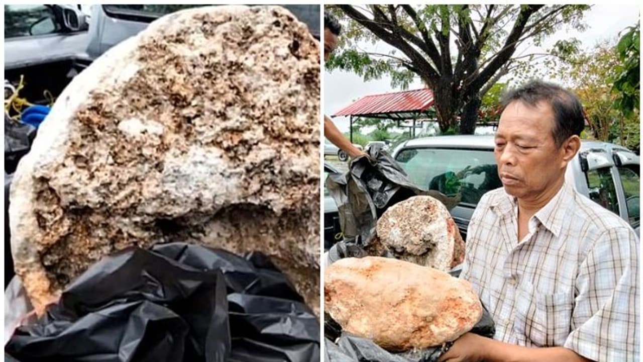 മത്സ്യബന്ധനത്തൊഴിലാളിക്ക് കടല് തീരത്ത് നിന്ന് ലഭിച്ചത് കിടിലന് 'നിധി'; മൂല്യം 24 കോടി മത്സ്യബന്ധനത്തൊഴിലാളിക്ക് കടല് തീരത്ത് നിന്ന് ലഭിച്ചത് കിടിലന് 'നിധി'; മൂല്യം 24 കോടി