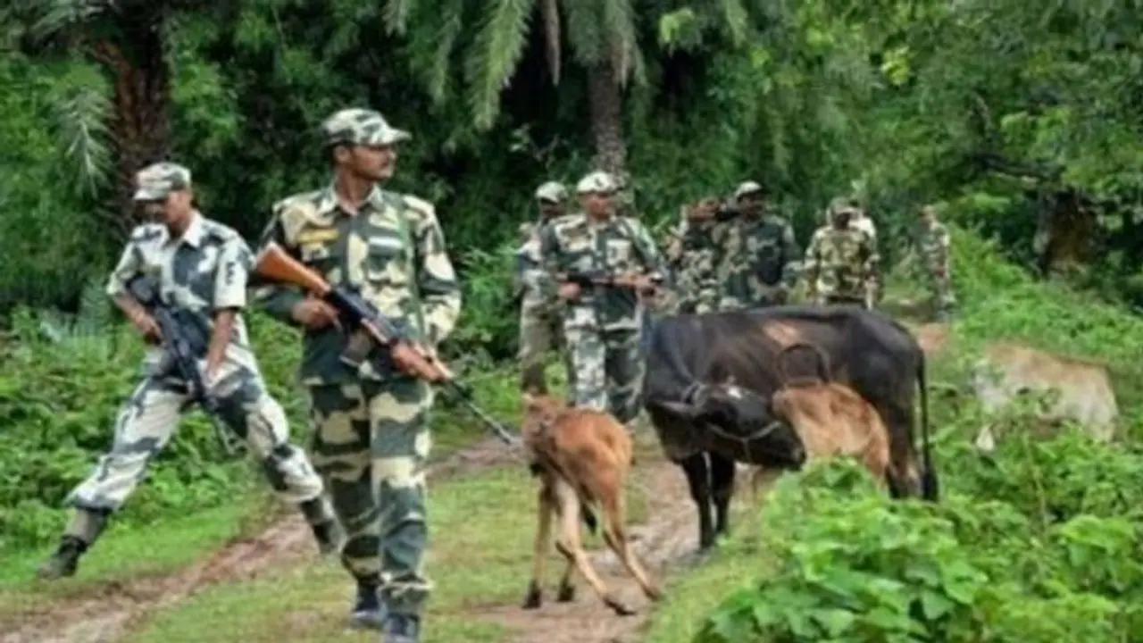 কাঁটাতার টপকে গরু পাচারের চেষ্টা, বাংলাদেশ সীমান্তে গুলি চালাল বিএসএফ কাঁটাতার টপকে গরু পাচারের চেষ্টা, বাংলাদেশ সীমান্তে গুলি চালাল বিএসএফ