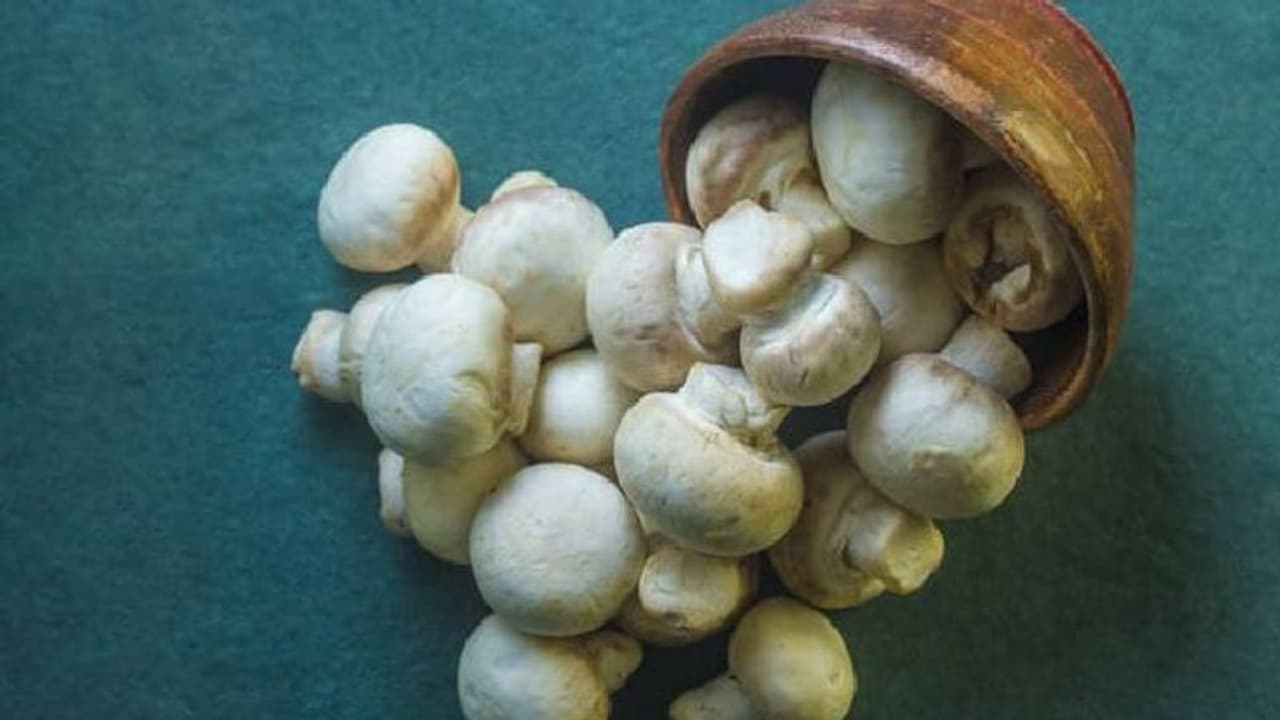 ശരീരഭാരം കുറയ്ക്കാന് കൂണ്; അറിയാം മറ്റ് ഗുണങ്ങള്... ശരീരഭാരം കുറയ്ക്കാന് കൂണ്; അറിയാം മറ്റ് ഗുണങ്ങള്...