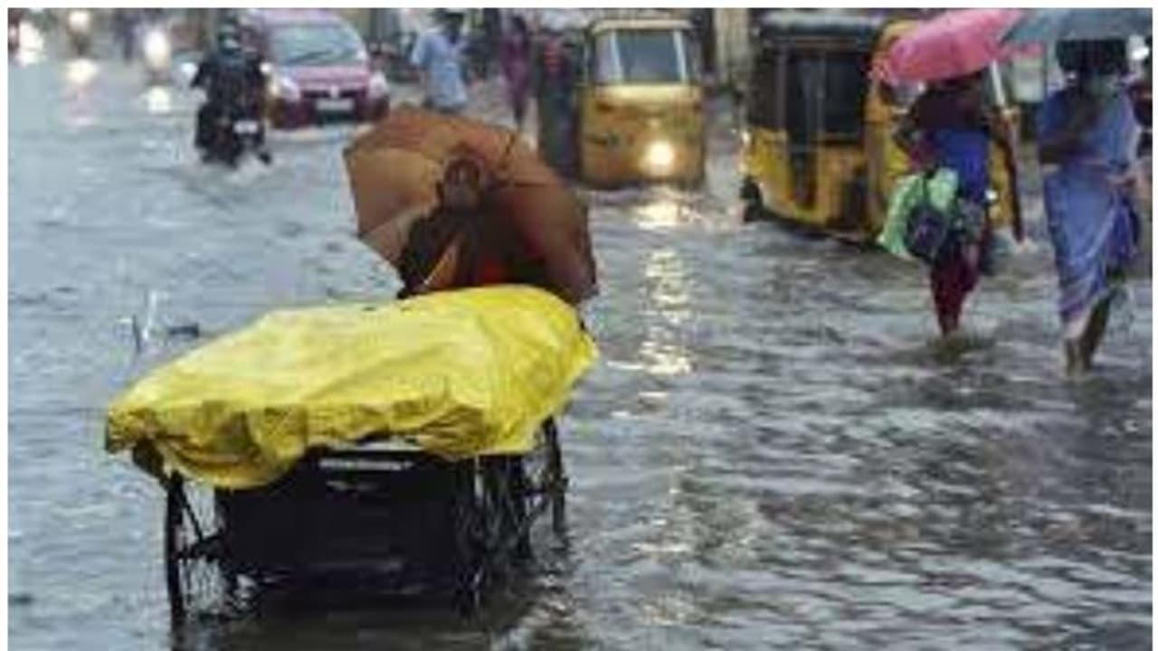 ബുറേവി; തമിഴ്നാട്ടിൽ 19 മരണം; കനത്ത നാശനഷ്ടം; ധനസഹായം പ്രഖ്യാപിച്ച് സർക്കാർ ബുറേവി; തമിഴ്നാട്ടിൽ 19 മരണം; കനത്ത നാശനഷ്ടം; ധനസഹായം പ്രഖ്യാപിച്ച് സർക്കാർ