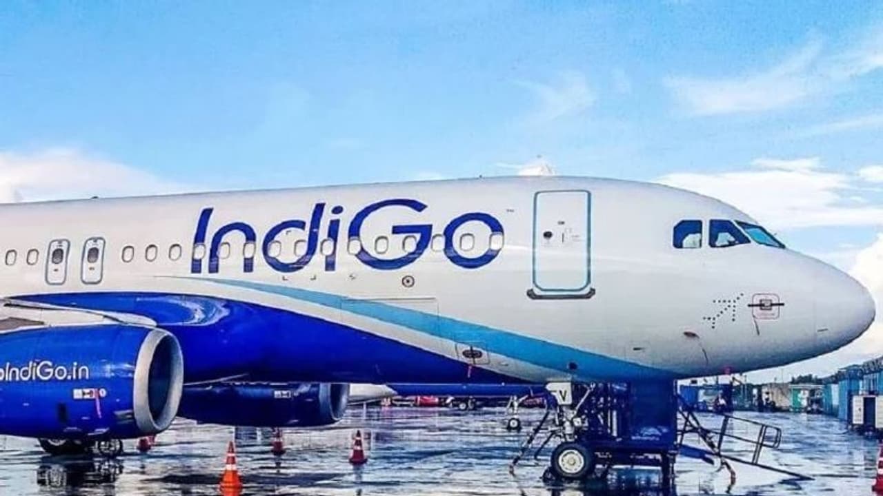 വനിതാ യാത്രികർക്ക് വമ്പൻ അവസരവുമായി ഇൻഡിഗോ; ടിക്കറ്റ് ബുക്ക് ചെയ്യുമ്പോൾ അറിയേണ്ടതെല്ലാം വനിതാ യാത്രികർക്ക് വമ്പൻ അവസരവുമായി ഇൻഡിഗോ; ടിക്കറ്റ് ബുക്ക് ചെയ്യുമ്പോൾ അറിയേണ്ടതെല്ലാം