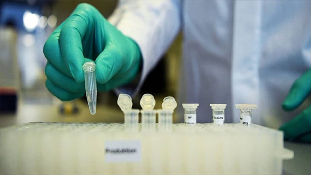 EU seals deal with Pfizer BioNTech for 1.8 billion COVID 19 doses; biggest vaccine contract so far EU seals deal with Pfizer BioNTech for 1.8 billion COVID 19 doses; biggest vaccine contract so far