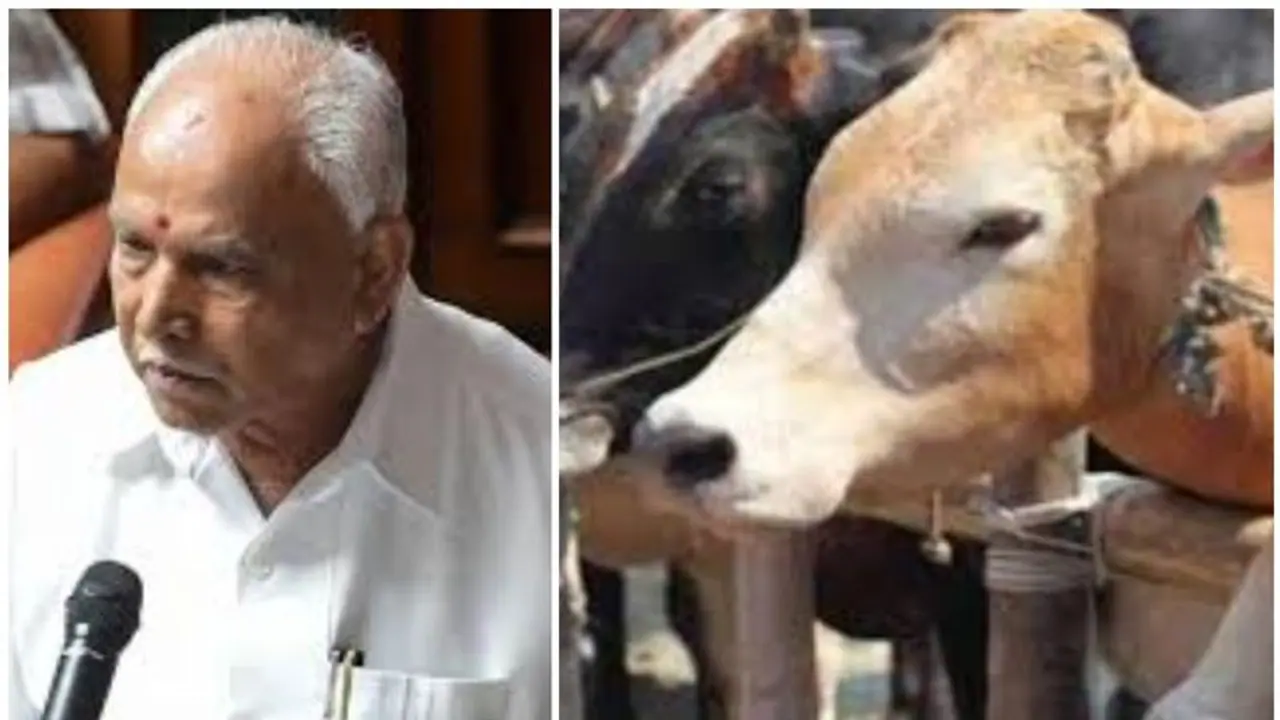 ഗവർണർ ഒപ്പു വച്ചു; കന്നുകാലി കശാപ്പ് നിരോധന നിയമം കർണാടകത്തിൽ നിലവിൽ വന്നു ഗവർണർ ഒപ്പു വച്ചു; കന്നുകാലി കശാപ്പ് നിരോധന നിയമം കർണാടകത്തിൽ നിലവിൽ വന്നു