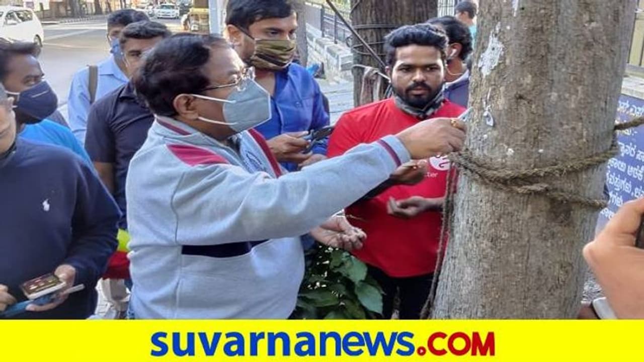 ಮರಕ್ಕೆ ಮೊಳೆ ಹೊಡೆಯುವುದು ಶಿಕ್ಷಾರ್ಹ ಅಪರಾಧ