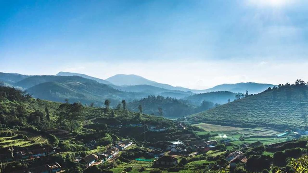 മസനഗുഡി വഴി ഊട്ടിയിലേക്ക് ഇപ്പോ പോകേണ്ട; കൊടും തണുപ്പ്, താപനില പൂജ്യം ഡിഗ്രിക്കടുത്ത്, കടുത്ത ആശങ്ക മസനഗുഡി വഴി ഊട്ടിയിലേക്ക് ഇപ്പോ പോകേണ്ട; കൊടും തണുപ്പ്, താപനില പൂജ്യം ഡിഗ്രിക്കടുത്ത്, കടുത്ത ആശങ്ക
