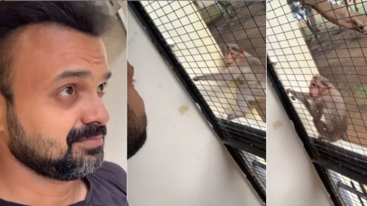 ‘പുള്ളി പുറത്തും നമ്മൾ അകത്തും‘;കുരങ്ങനോട് കുശലാന്വേഷണവുമായി ചാക്കോച്ചൻ, കമന്റുമായി മിഥുൻ മാനുവൽ