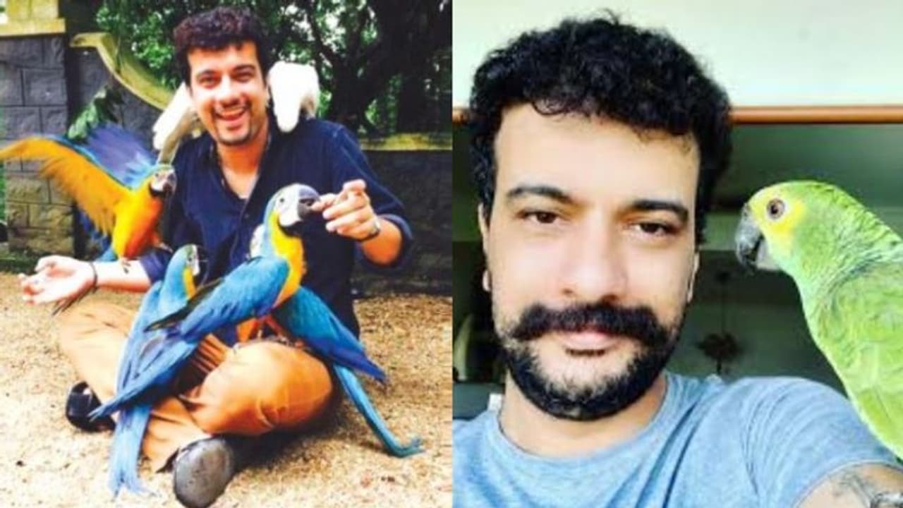 തത്തയെ കൊണ്ട് മീശ പിരിപ്പിച്ച് രമേഷ് പിഷാരടി; വീഡിയോ തത്തയെ കൊണ്ട് മീശ പിരിപ്പിച്ച് രമേഷ് പിഷാരടി; വീഡിയോ