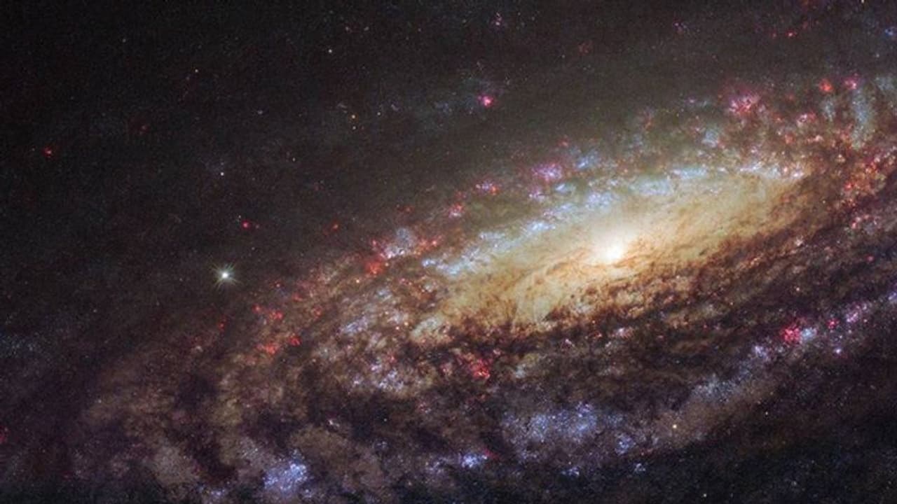 ക്ഷീരപഥമുണ്ടായത് താരാപഥങ്ങളുടെ കൂട്ടിയിടിയുടെ ഫലമല്ലെന്നു പുതിയ കണ്ടെത്തല്, ശാസ്ത്രനിരീക്ഷണം ഇങ്ങനെ ക്ഷീരപഥമുണ്ടായത് താരാപഥങ്ങളുടെ കൂട്ടിയിടിയുടെ ഫലമല്ലെന്നു പുതിയ കണ്ടെത്തല്, ശാസ്ത്രനിരീക്ഷണം ഇങ്ങനെ