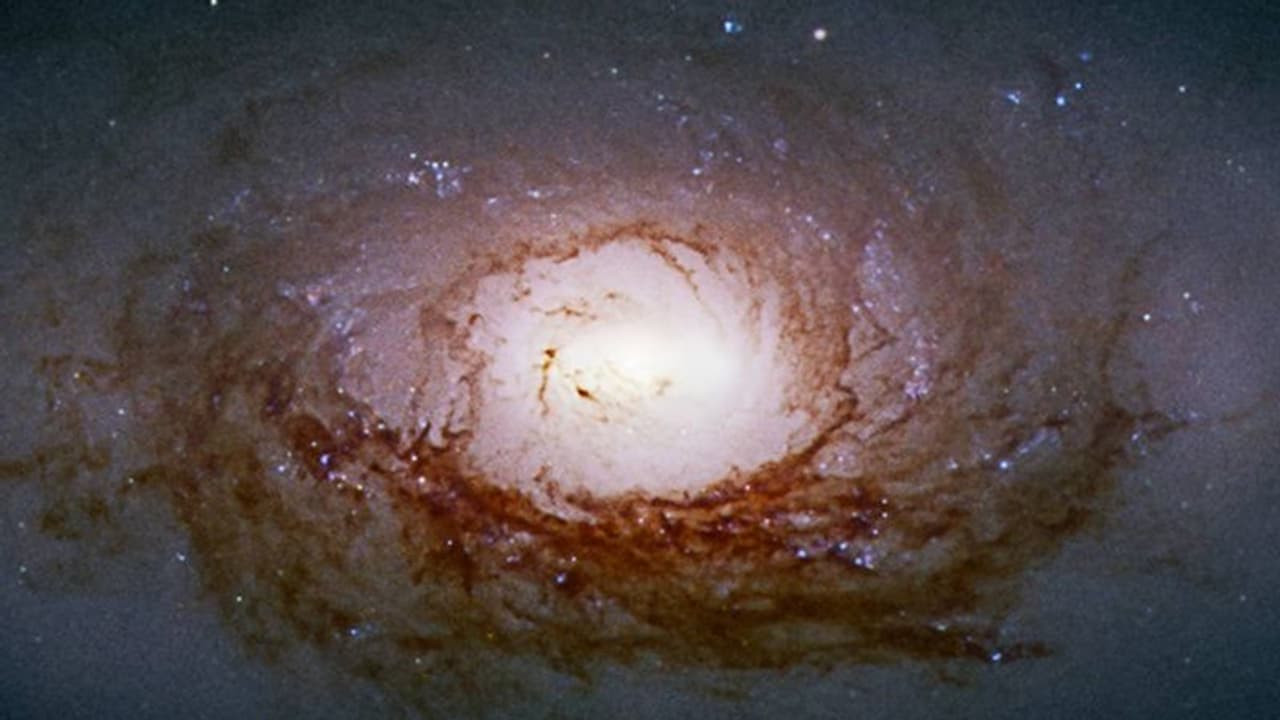 ಬ್ಲ್ಯಾಕ್‌ ಹೋಲ್ ನುಂಗಿದ ವಸ್ತು ಏನಾಗುತ್ತದೆ? ಜಪಾನ್ ಭೌತಶಾಸ್ತ್ರಜ್ಞರ ಅಧ್ಯಯನದಲ್ಲಿದೆ ಉತ್ತರ