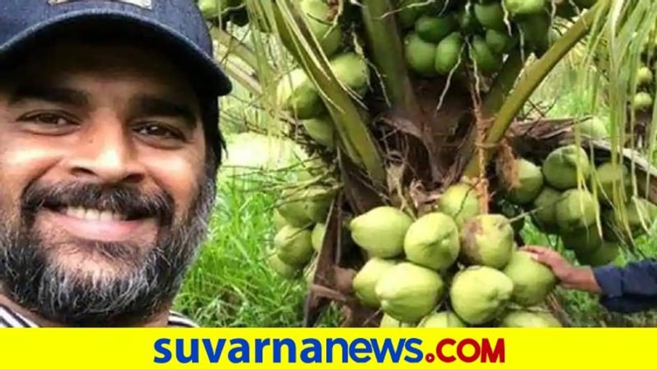 ಬರಡು ಭೂಮಿಯನ್ನು ಹಸಿರಾಗಿಸಿದ ನಟ ಮಾಧವನ್ ಬರಡು ಭೂಮಿಯನ್ನು ಹಸಿರಾಗಿಸಿದ ನಟ ಮಾಧವನ್