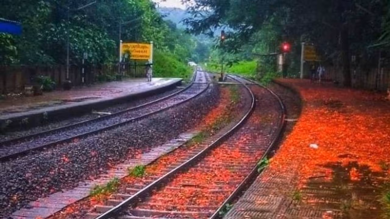 ഗുൽമോഹറിന്റെ മനോഹര കാഴ്ച, ആവണീശ്വരം സ്റ്റേഷന്റെ സുന്ദര ദൃശ്യം പങ്കുവച്ച് റെയിൽവേ ഗുൽമോഹറിന്റെ മനോഹര കാഴ്ച, ആവണീശ്വരം സ്റ്റേഷന്റെ സുന്ദര ദൃശ്യം പങ്കുവച്ച് റെയിൽവേ