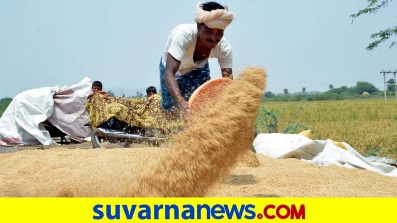 ಕೃಷಿ ಚಟುವಟಿಕೆ ಮೇಲೆ ಕೊರೋನಾ ಕರಿನೆರಳು