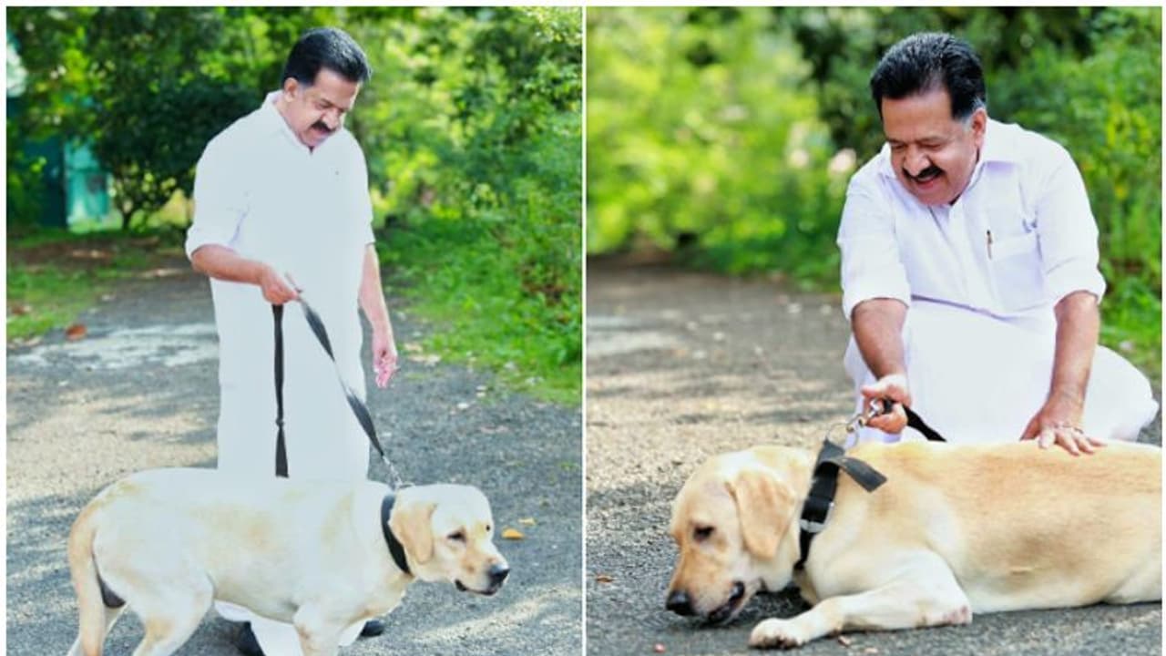 'കാഴ്ചയില്ലാത്ത സ്കൂബിയെ ഞങ്ങള് ചേര്ത്ത് പിടിച്ചു'; ഹൃദയ സ്പര്ശിയായ കുറിപ്പുമായി രമേശ് ചെന്നിത്തല 'കാഴ്ചയില്ലാത്ത സ്കൂബിയെ ഞങ്ങള് ചേര്ത്ത് പിടിച്ചു'; ഹൃദയ സ്പര്ശിയായ കുറിപ്പുമായി രമേശ് ചെന്നിത്തല