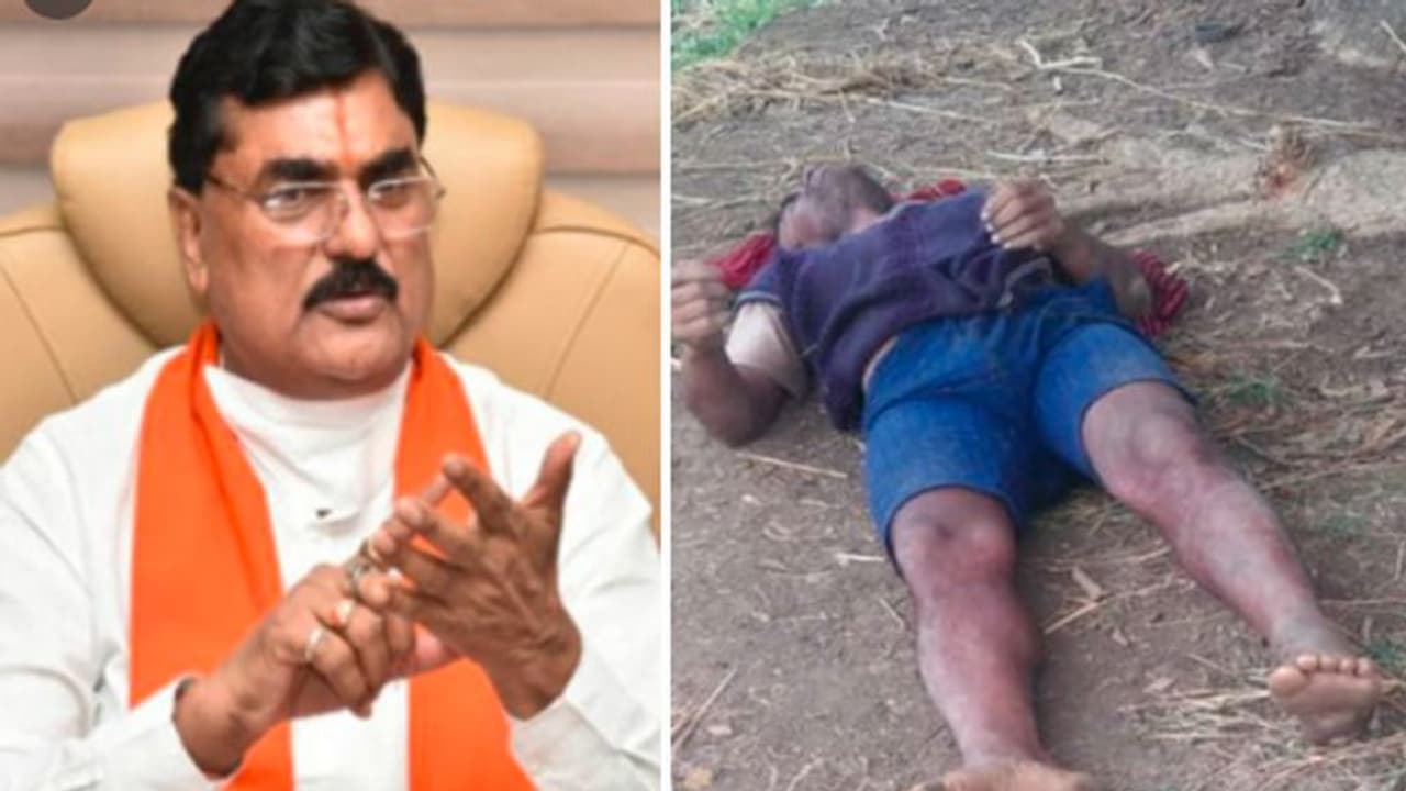 MP 2 किसानों की मौत, कृषि मंत्री का विवादित बयान, बोले कुकरमुत्तों की तरह उग आए हैं किसान संगठन MP 2 किसानों की मौत, कृषि मंत्री का विवादित बयान, बोले कुकरमुत्तों की तरह उग आए हैं किसान संगठन