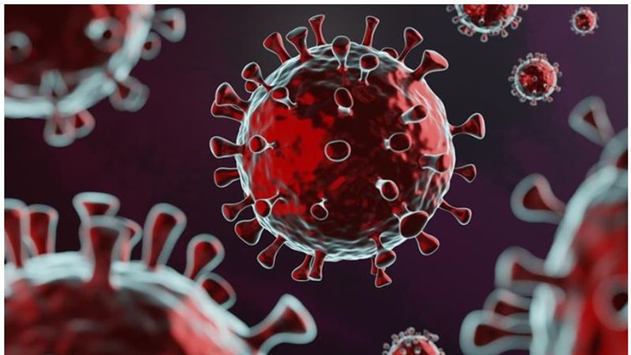 കൊറോണ വൈറസിന്റെ പുതിയ വകഭേദം കണ്ടെത്തിയതായി ബ്രിട്ടണ്‍