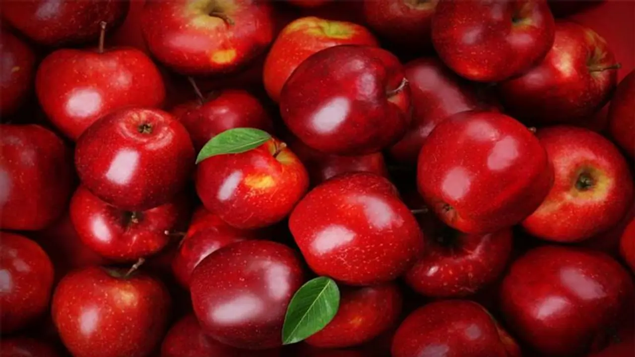 हर चमकता APPLE ताजा नहीं होता, सेब खरीदते समय ये बातें रखें ध्यान नहीं तो हो जाएंगे बीमार, क्या कहती है रिसर्च हर चमकता APPLE ताजा नहीं होता, सेब खरीदते समय ये बातें रखें ध्यान नहीं तो हो जाएंगे बीमार, क्या कहती है रिसर्च