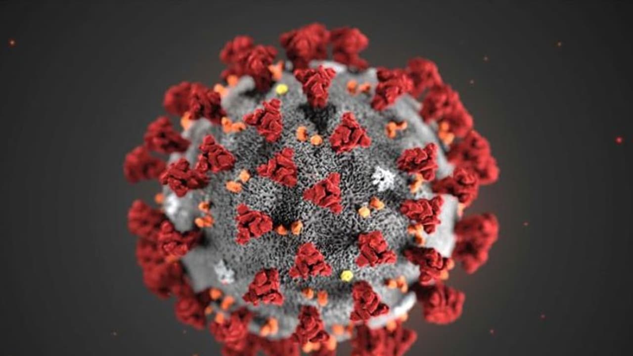 கொரோனாவின் கோரப்பிடியில் சிக்கிய அமமுக வேட்பாளர்... அதிர்ச்சியில் டி.டி.வி. தினகரன்...!