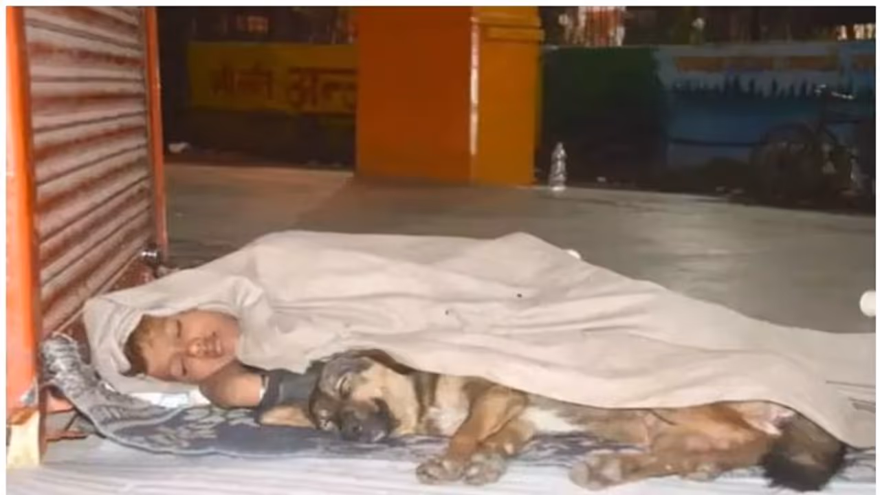 പിതാവ് ജയിലില്, അമ്മ ഉപേക്ഷിച്ചു, തെരുവില് നായയുടെ കൂടെ ഒരു പുതപ്പില് ചുരുണ്ട് കൂടി ബാലന് പിതാവ് ജയിലില്, അമ്മ ഉപേക്ഷിച്ചു, തെരുവില് നായയുടെ കൂടെ ഒരു പുതപ്പില് ചുരുണ്ട് കൂടി ബാലന്