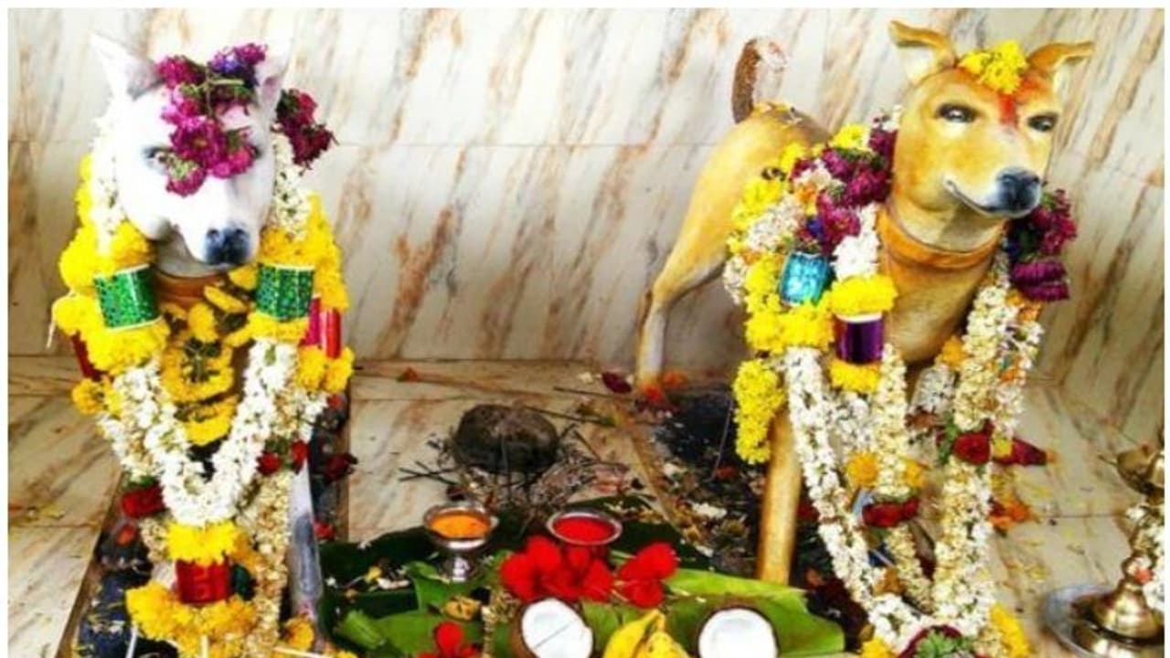 നായയ്ക്ക് വേണ്ടി മാത്രം ഒരു അമ്പലമുണ്ടോ നമ്മുടെ രാജ്യത്ത്? നായയ്ക്ക് വേണ്ടി മാത്രം ഒരു അമ്പലമുണ്ടോ നമ്മുടെ രാജ്യത്ത്?