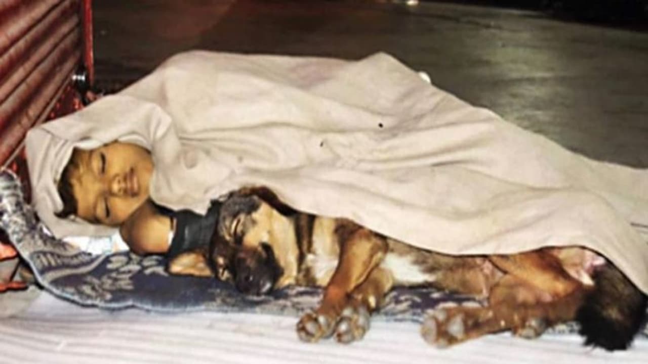 বাবা জেলবন্দি, পালিয়েছে মা ফুটপাতে নেমে আসা কিশোরকে ছেড়ে যায়নি শুধু পোষ্য কুকুর বাবা জেলবন্দি, পালিয়েছে মা ফুটপাতে নেমে আসা কিশোরকে ছেড়ে যায়নি শুধু পোষ্য কুকুর