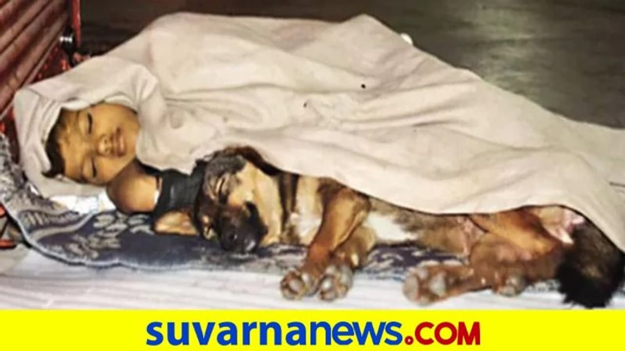 ಅಮ್ಮ ಬಿಟ್ಟೋದ್ಲು, ಅಪ್ಪ ಜೈಲಿನಲ್ಲಿ: 9 ವರ್ಷದ ಬಾಲಕನ ಬದುಕು ಬೀದಿ ಪಾಲು, ಶ್ವಾನವೊಂದೇ ಬಂಧು! ಅಮ್ಮ ಬಿಟ್ಟೋದ್ಲು, ಅಪ್ಪ ಜೈಲಿನಲ್ಲಿ: 9 ವರ್ಷದ ಬಾಲಕನ ಬದುಕು ಬೀದಿ ಪಾಲು, ಶ್ವಾನವೊಂದೇ ಬಂಧು!