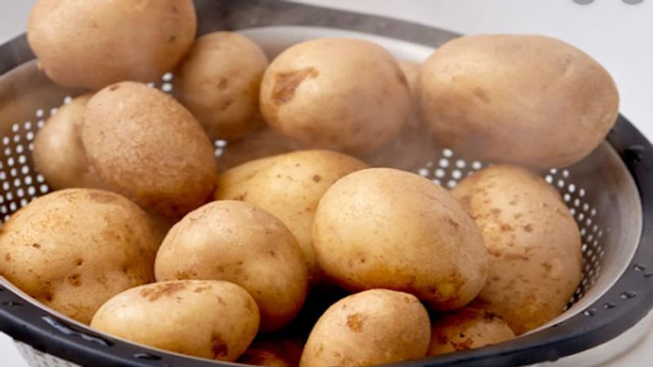 Medinipur Potato Cultivation: ধান চাষের তুলনায় আলু চাষে ব্যাপক ক্ষতির মুখে চাষীরা Medinipur Potato Cultivation: ধান চাষের তুলনায় আলু চাষে ব্যাপক ক্ষতির মুখে চাষীরা