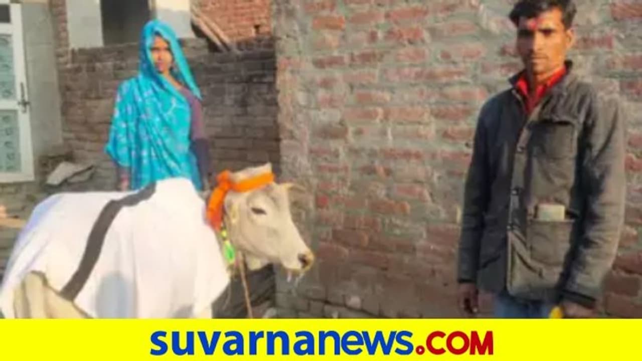 15 ವರ್ಷವಾದ್ರೂ ಸಂತಾನ ಭಾಗ್ಯವಿಲ್ಲ: ಕರುವನ್ನು ಮಗನಾಗಿ ದತ್ತು ಸ್ವೀಕರಿಸಿದ ರೈತ ದಂಪತಿ