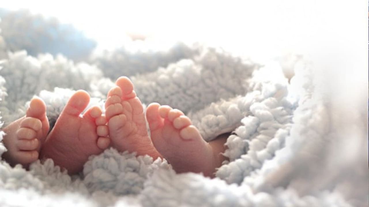 দিদিমার গর্ভে বেড়ে উঠল নাতনি, যমজ দুই বোনের জন্ম হল ৮ সপ্তাহের ব্যবধানে দুই মায়ের থেকে দিদিমার গর্ভে বেড়ে উঠল নাতনি, যমজ দুই বোনের জন্ম হল ৮ সপ্তাহের ব্যবধানে দুই মায়ের থেকে