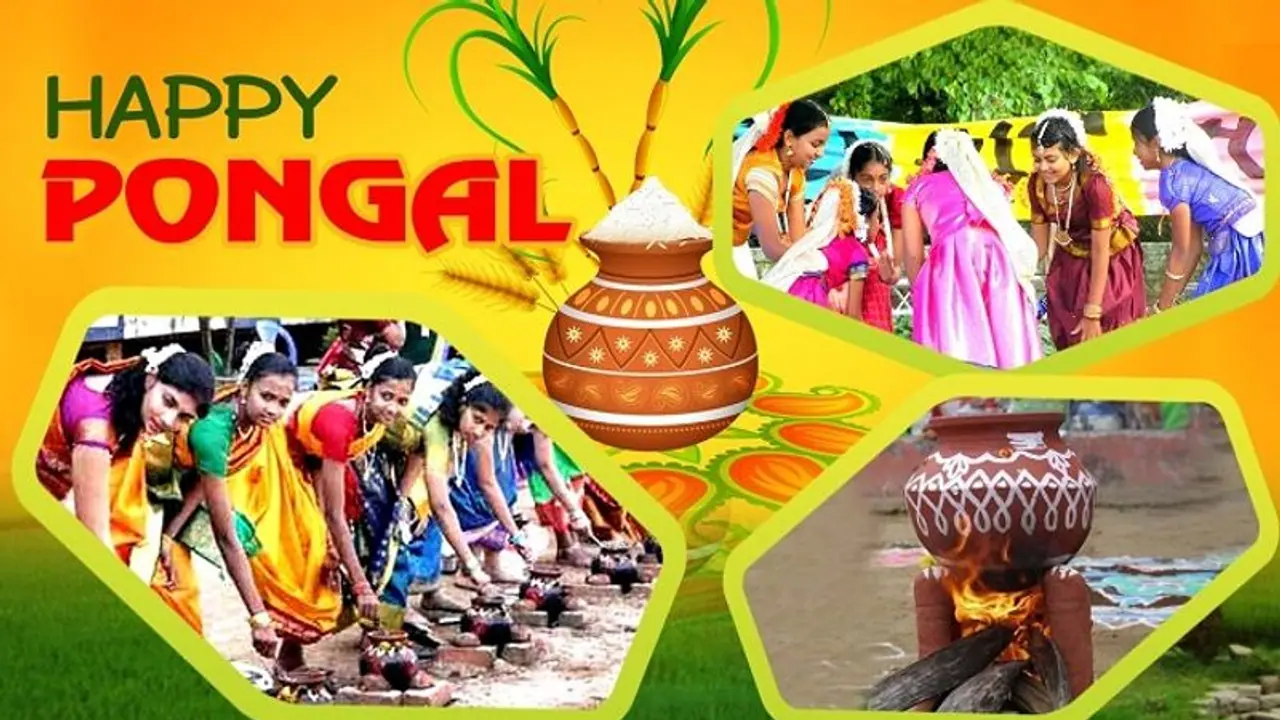 Pongal wishes 2023: பொங்கல் போலவே இன்பம் பொங்கட்டும்... உங்களுக்கான பொங்கல், போகி பண்டிகை வாழ்த்துகள் இதோ... 
