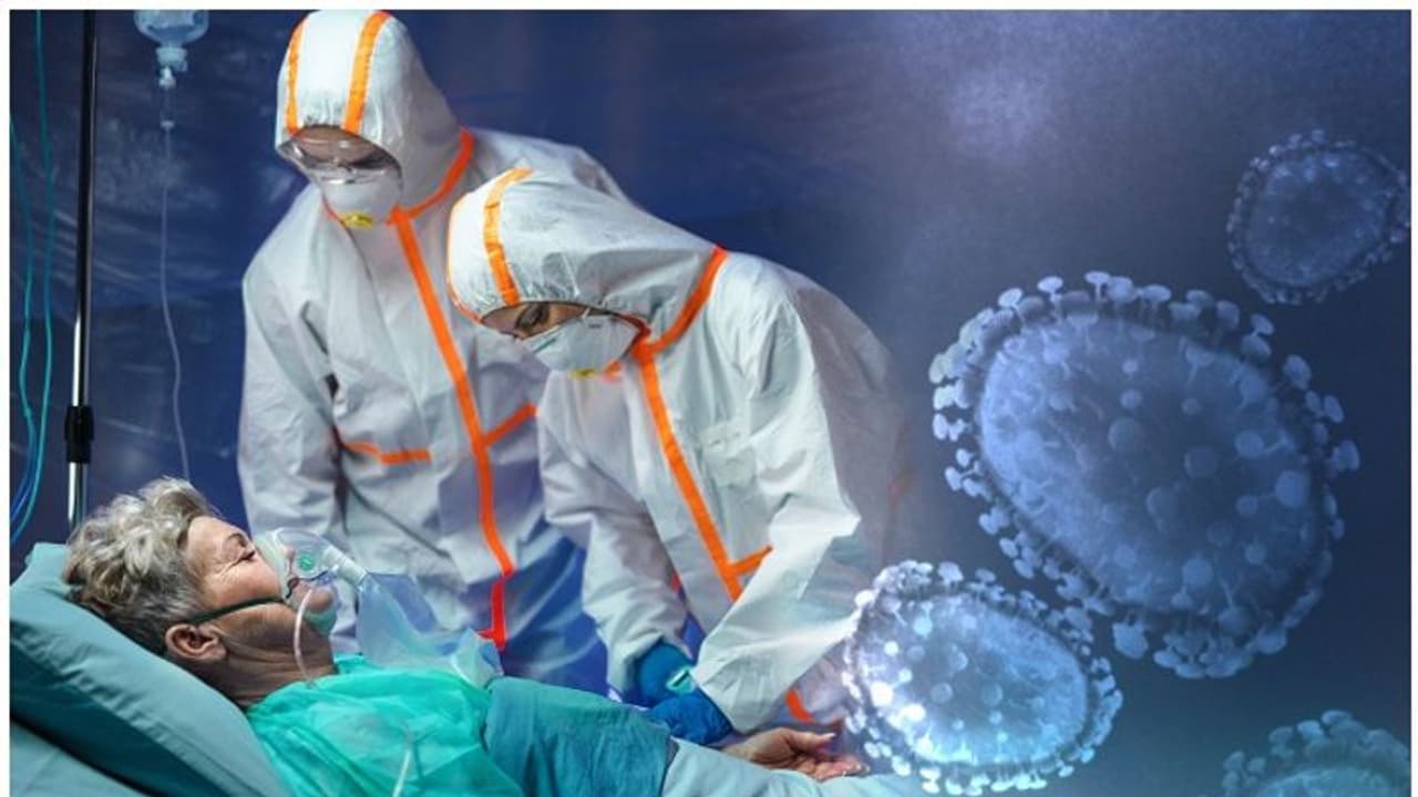 ലോകത്തിന് ഭീഷണിയായി കൊവിഡ് വൈറസിന് ജനിതക മാറ്റം! സൗദി രാജ്യാതിർത്തികൾ അടച്ചു, വിമാന സർവ്വീസുകൾ നിർത്തി ലോകത്തിന് ഭീഷണിയായി കൊവിഡ് വൈറസിന് ജനിതക മാറ്റം! സൗദി രാജ്യാതിർത്തികൾ അടച്ചു, വിമാന സർവ്വീസുകൾ നിർത്തി