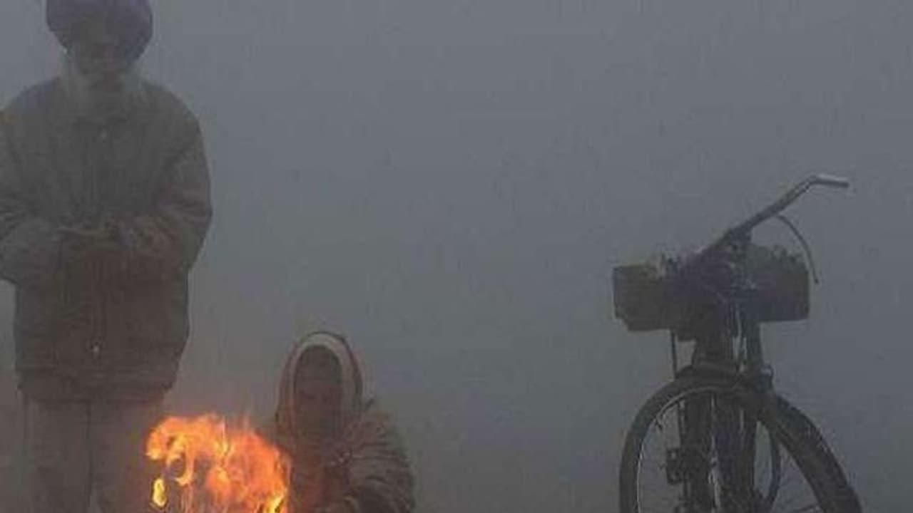 Deadly cold, the body is becoming cold even inside the house, there is an outbreak of cold wave in these states Deadly cold, the body is becoming cold even inside the house, there is an outbreak of cold wave in these states