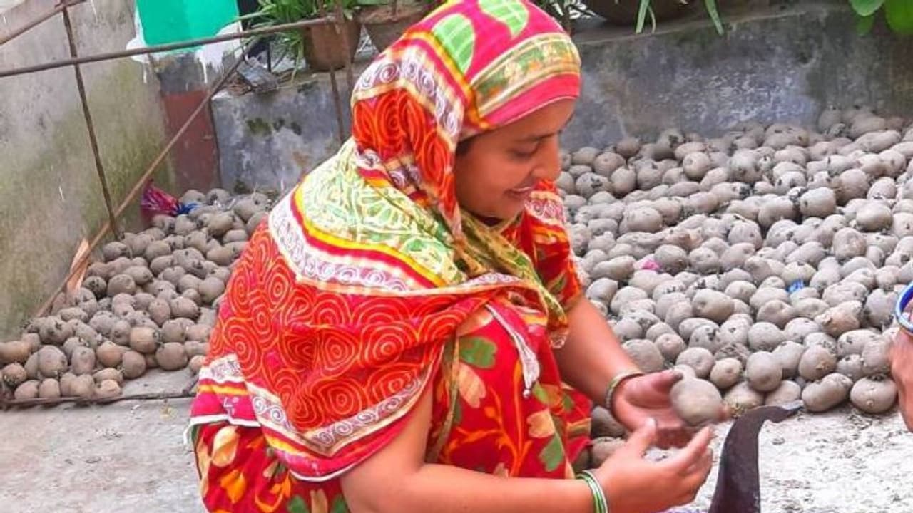 ഷമീമയും മാലതിയും; ഉരുളക്കിഴങ്ങ് കൃഷിയിലൂടെ ജീവിതം തന്നെ മാറിയ രണ്ട് സ്ത്രീകൾ! ഷമീമയും മാലതിയും; ഉരുളക്കിഴങ്ങ് കൃഷിയിലൂടെ ജീവിതം തന്നെ മാറിയ രണ്ട് സ്ത്രീകൾ!