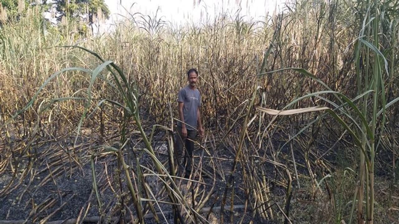 ಹೆಸ್ಕಾಂ ಎಡವಟ್ಟಿಗೆ ರೈತನ ಬೆಳೆ ಭಸ್ಮ..ಯಾರಿಗೆ ಹೇಳೋಣ ಪ್ರಾಬ್ಲೆಮ್ಮು! ಹೆಸ್ಕಾಂ ಎಡವಟ್ಟಿಗೆ ರೈತನ ಬೆಳೆ ಭಸ್ಮ..ಯಾರಿಗೆ ಹೇಳೋಣ ಪ್ರಾಬ್ಲೆಮ್ಮು!