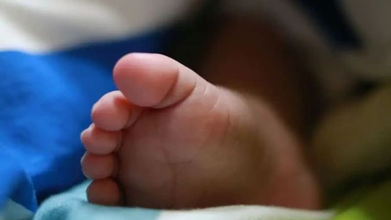 ಆ್ಯಂಬುಲೆನ್ಸ್ನಲ್ಲೇ ಮುದ್ದಾದ ಹೆಣ್ಣು ಮಗುವಿಗೆ ಜನ್ಮ ನೀಡಿದ ತಾಯಿ ಆ್ಯಂಬುಲೆನ್ಸ್ನಲ್ಲೇ ಮುದ್ದಾದ ಹೆಣ್ಣು ಮಗುವಿಗೆ ಜನ್ಮ ನೀಡಿದ ತಾಯಿ