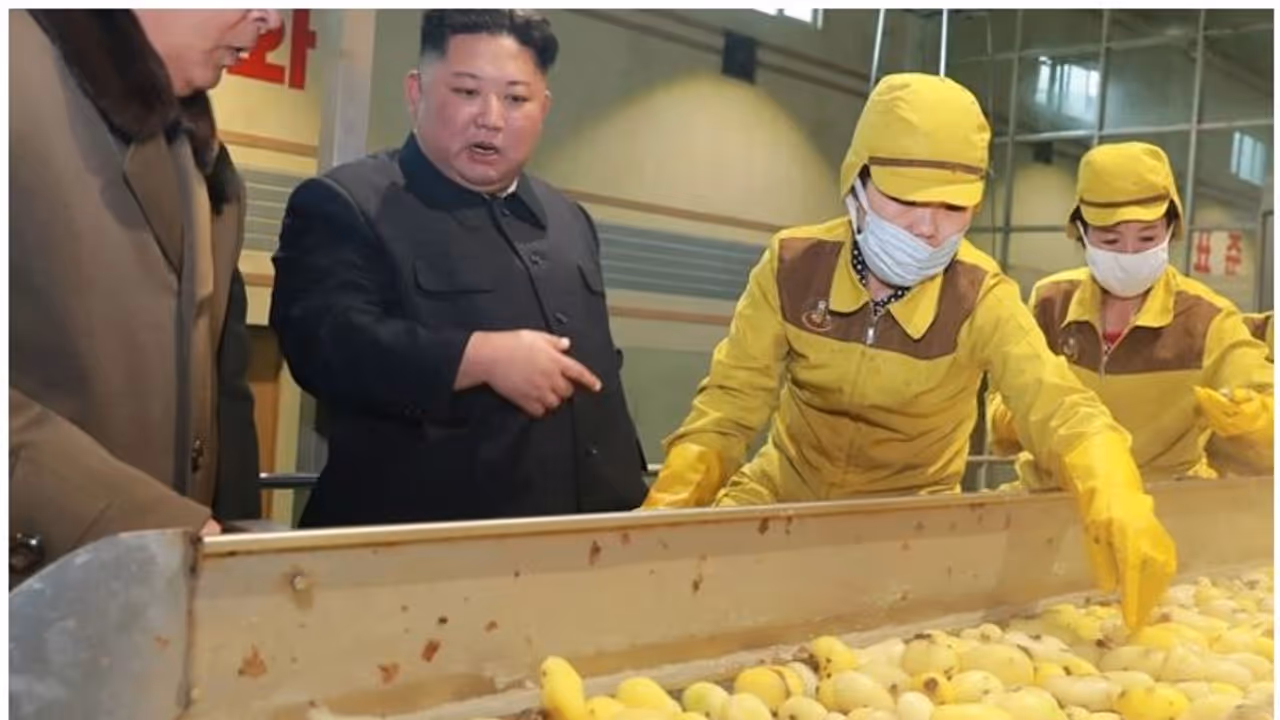 ഉത്തരകൊറിയൻ മാധ്യമങ്ങളിൽ ഇപ്പോൾ താരം ഉരുളക്കിഴങ്ങ്, ദാരിദ്ര്യമെന്നതിന്റെ സൂചനയോ? ഉത്തരകൊറിയൻ മാധ്യമങ്ങളിൽ ഇപ്പോൾ താരം ഉരുളക്കിഴങ്ങ്, ദാരിദ്ര്യമെന്നതിന്റെ സൂചനയോ?