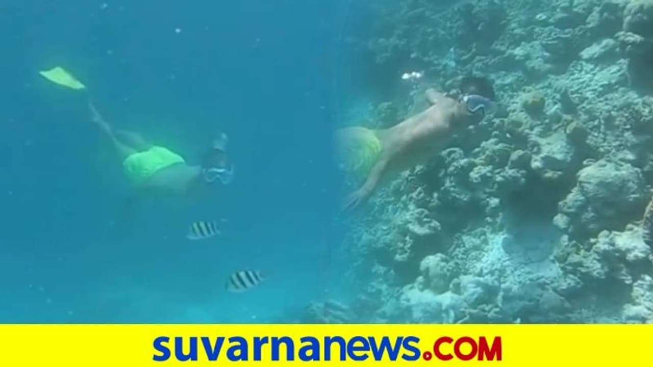 ಮಾಲ್ಡೀವ್ಸ್ನಲ್ಲಿ ಮೀನಿನಂತೆ ಈಜಿದ ಮಿಲಿಂದ್..! ವಿಡಿಯೋ ನೋಡಿ ಮಾಲ್ಡೀವ್ಸ್ನಲ್ಲಿ ಮೀನಿನಂತೆ ಈಜಿದ ಮಿಲಿಂದ್..! ವಿಡಿಯೋ ನೋಡಿ