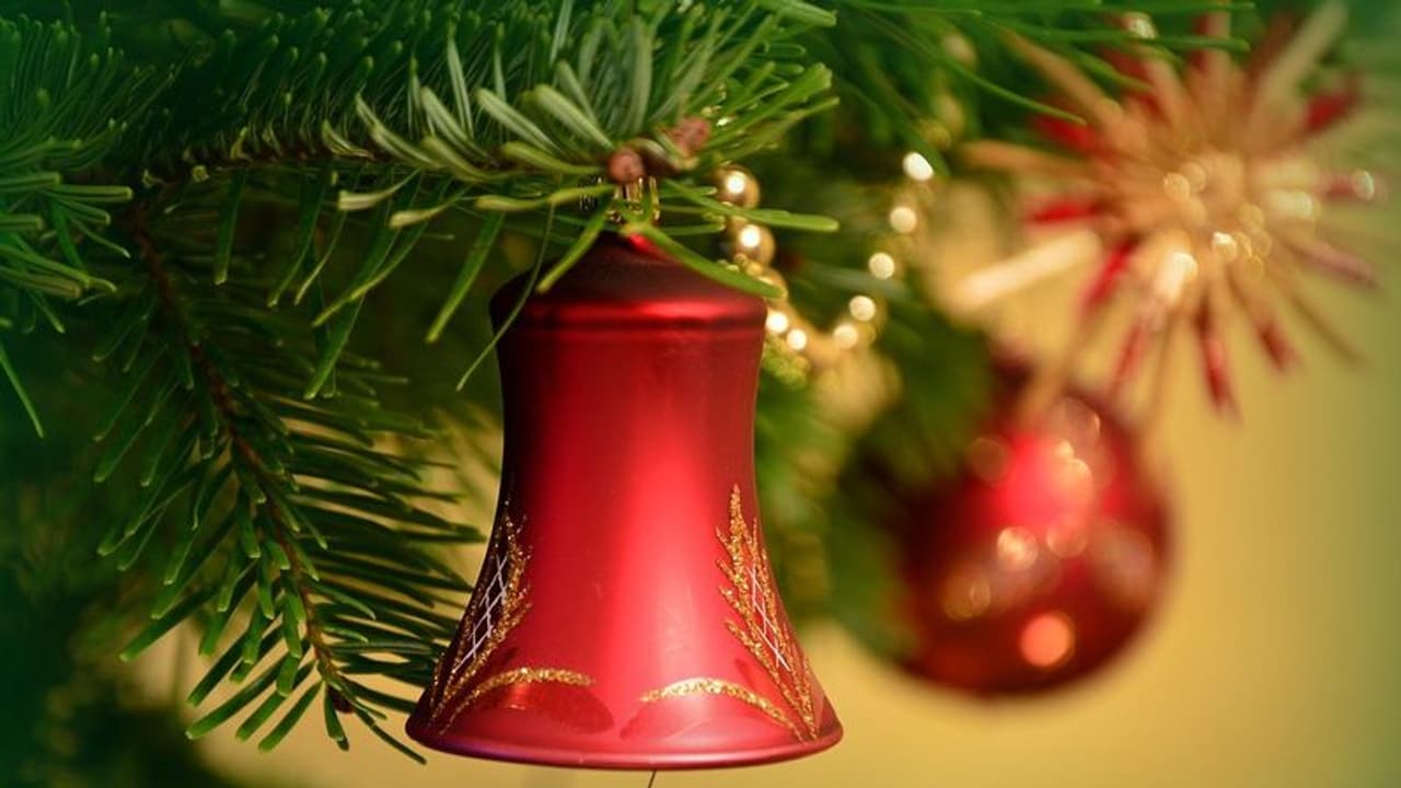 Christmas Tree Vastu Tips: জেনে নিন ক্রিসমাস ট্রি রাখলে কী হয়, বাস্তু মতে এই গাছের উপকারিতা
