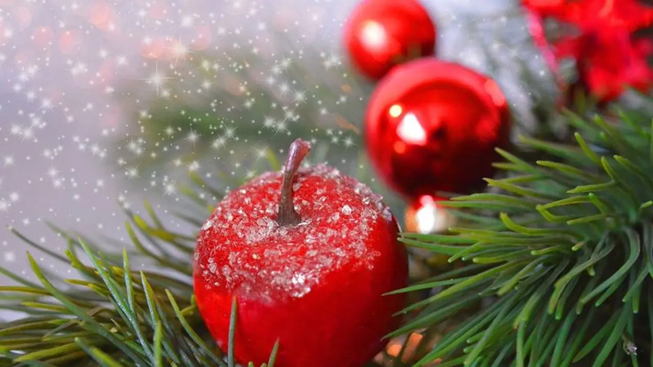 Christmas 2021: বড়দিনে প্ল্যান করুন ছোট্ট আউটিং এর, কলকাতার মধ্যেই ঘুরতে যেতে পারেন এই কয়টি জায়গায়