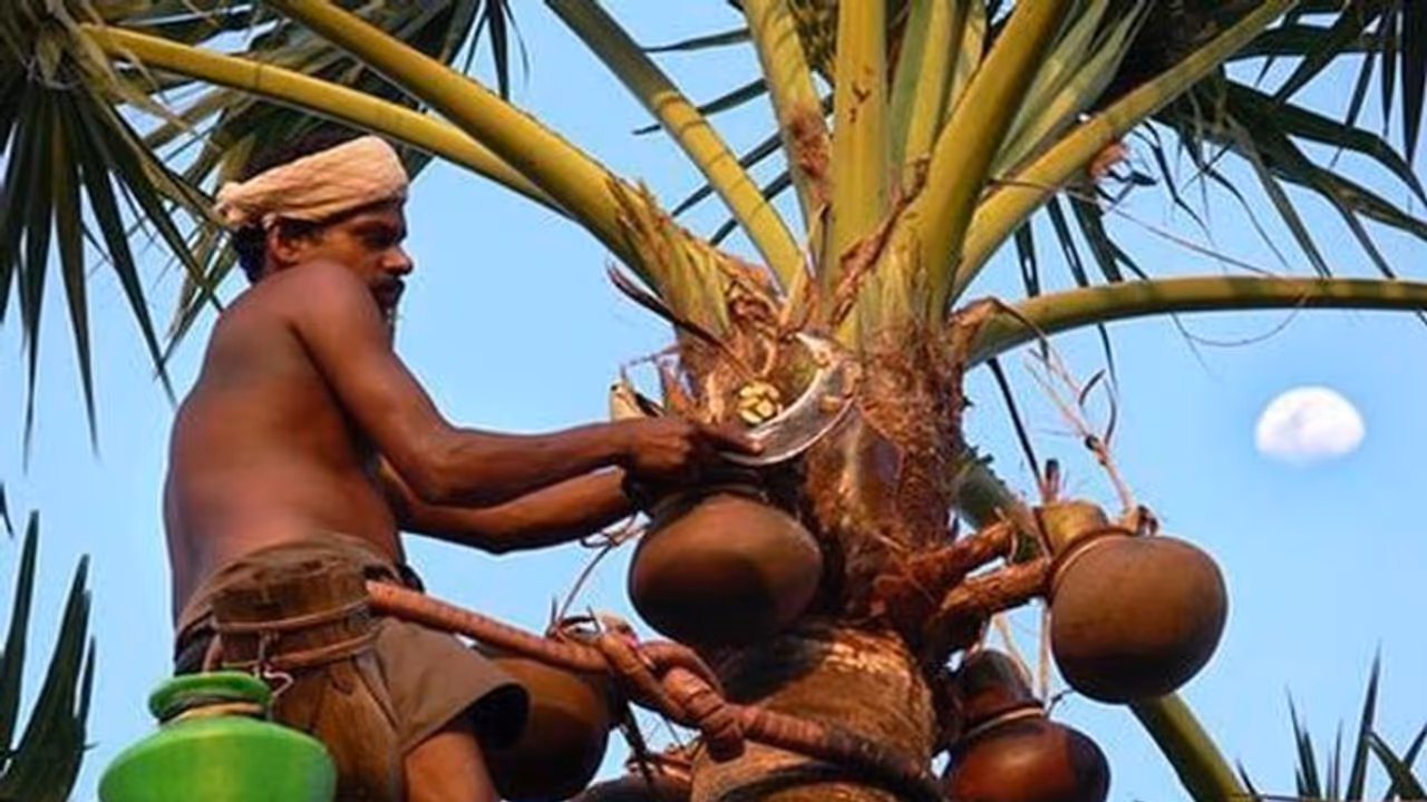 ఏం చెప్తిరి.. చెప్తిరి: కల్లు తాగితే కరోనా రాదంట ఏం చెప్తిరి.. చెప్తిరి: కల్లు తాగితే కరోనా రాదంట