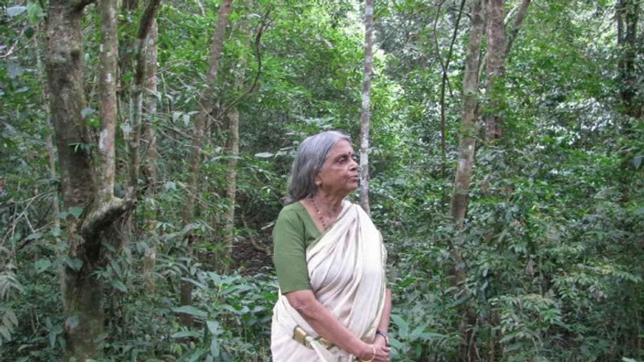 സൈലന്റ് വാലി തേങ്ങുന്നു; പാര്‍ക്കിലെ പതാക പാതി താഴ്ത്തി