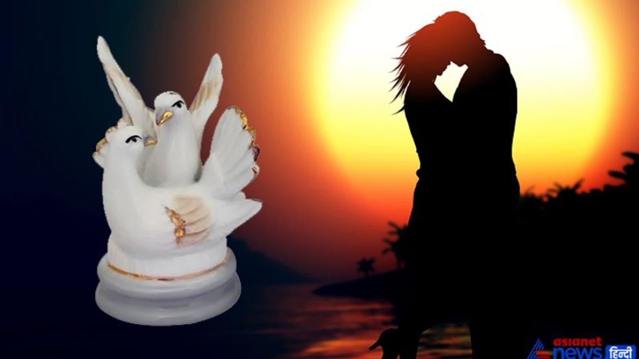 पति पत्नी में होता है विवाद तो घर में रखें फेंगशुई के लव बर्डस, लाइफ में बना रहेगा रोमांस