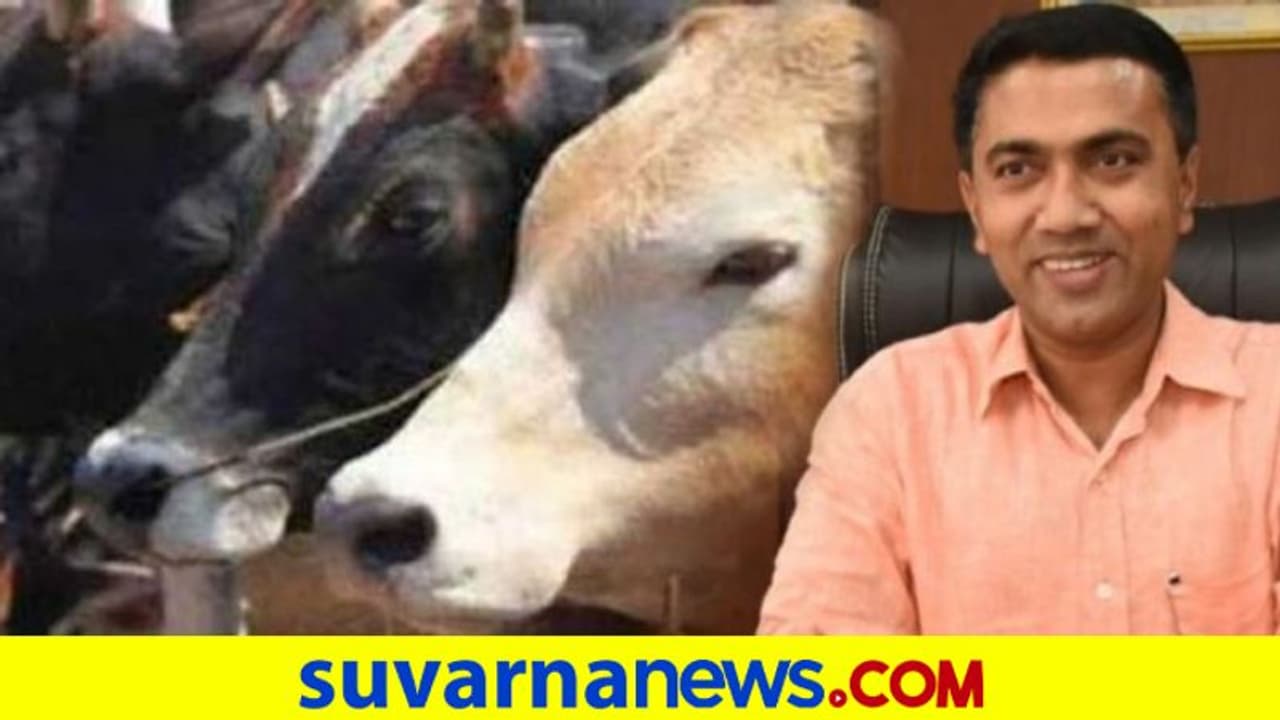 ಮಾಂಸಕ್ಕಾಗಿ ಜಾನುವಾರು ಆಮದಿಗೆ ಗೋವಾ ಬಿಜೆಪಿ ಸರ್ಕಾರ ಅನುಮತಿ! ಮಾಂಸಕ್ಕಾಗಿ ಜಾನುವಾರು ಆಮದಿಗೆ ಗೋವಾ ಬಿಜೆಪಿ ಸರ್ಕಾರ ಅನುಮತಿ!