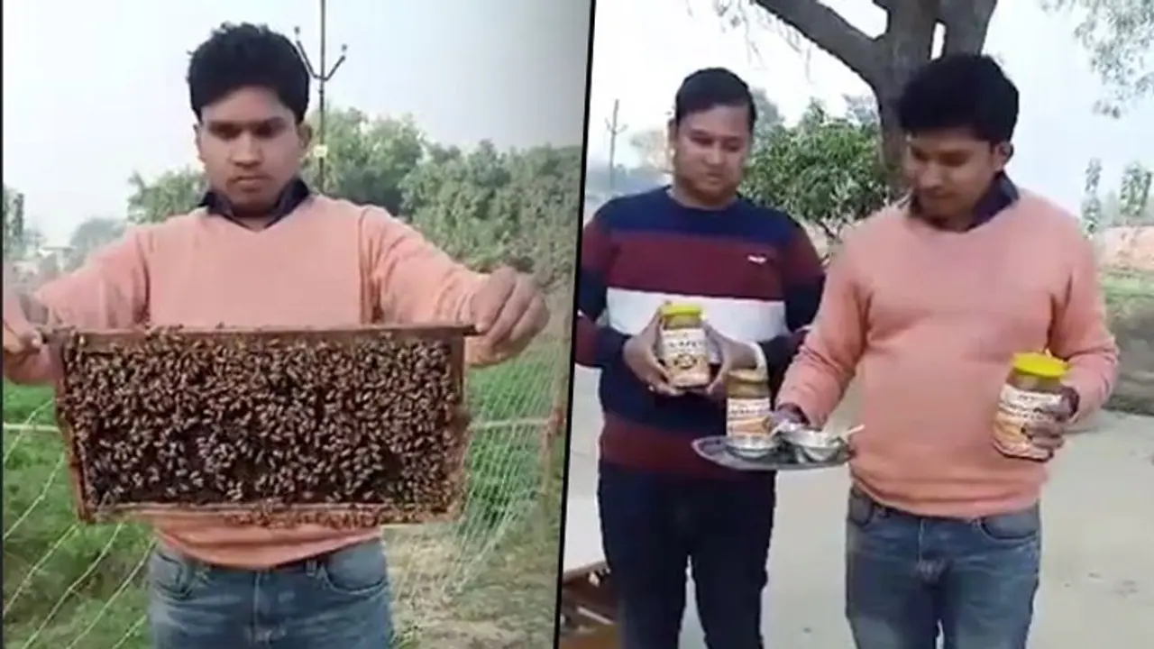 Quitting their jobs, 3 brothers take up pearl farming and beekeeping; enjoy good profits Quitting their jobs, 3 brothers take up pearl farming and beekeeping; enjoy good profits