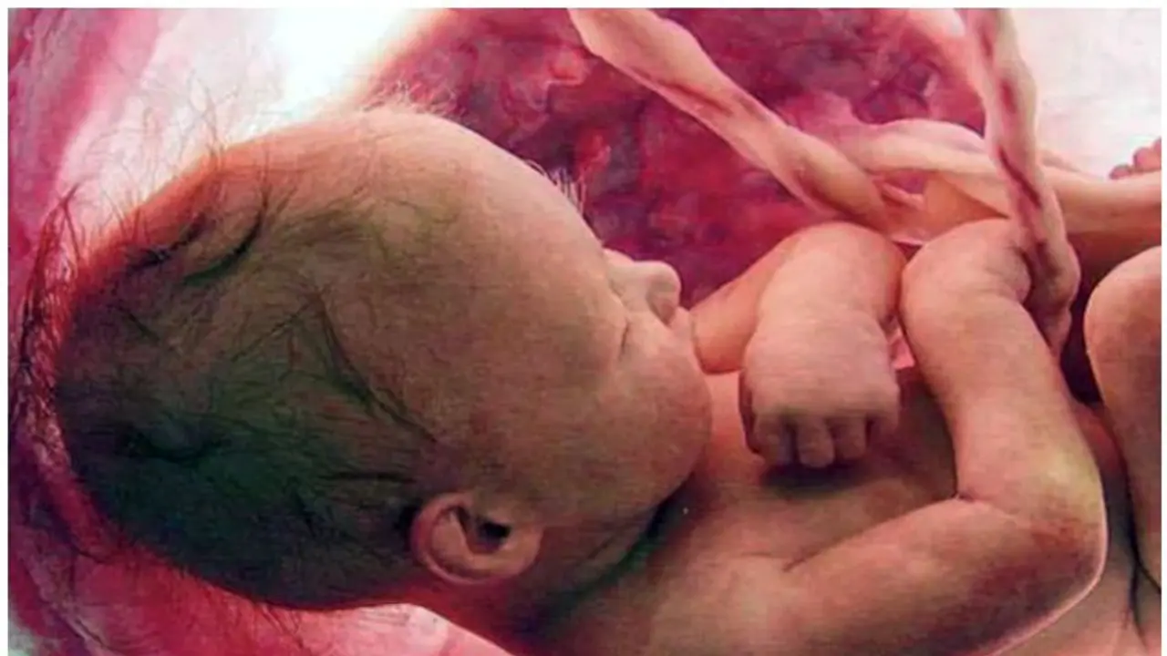 മറുപിള്ളയിലും മൈക്രോപ്ലാസ്റ്റിക്ക് സാന്നിധ്യം, കുഞ്ഞുങ്ങളുടെ വളര്‍ച്ചയെ ബാധിച്ചേക്കാമെന്ന് ഗവേഷകർ